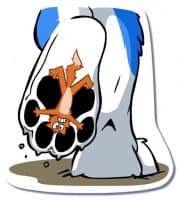 «Jhusky Stomps» sticker set