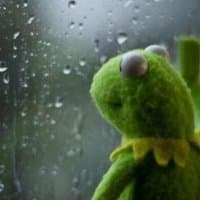«kermit» sticker set