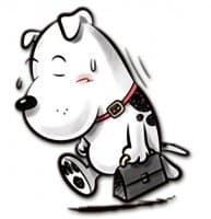 «Boris» sticker set