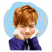 «BTS» sticker set