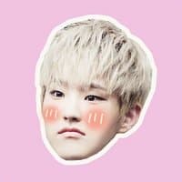 «HoshiKwon» sticker set