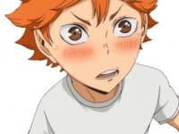 «haikyuu» sticker set