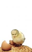 «papajwielkanocny» sticker set