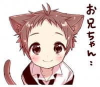 «Naughty cat ear boy @stickerscar» sticker set