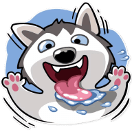 «Chuck the Husky» sticker set